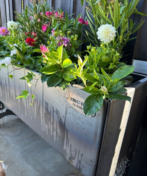 Bac à fleurs en hauteur en acier Corten avec patine naturelle, parfait pour une plantation ergonomique et décorative.