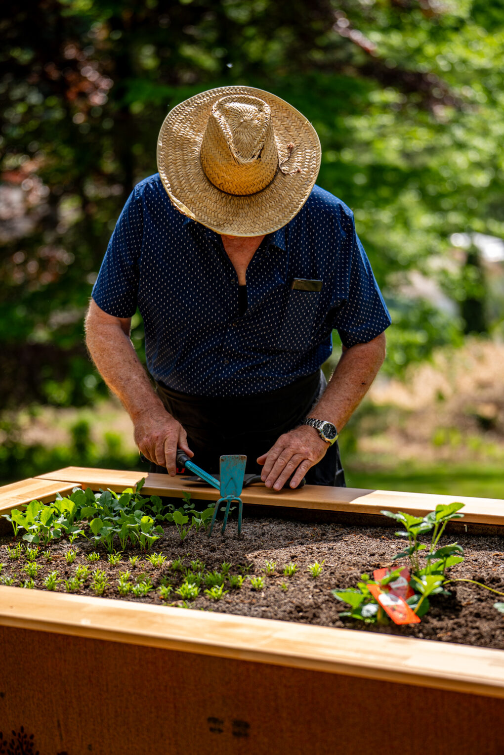 Potager en hauteur Amonea