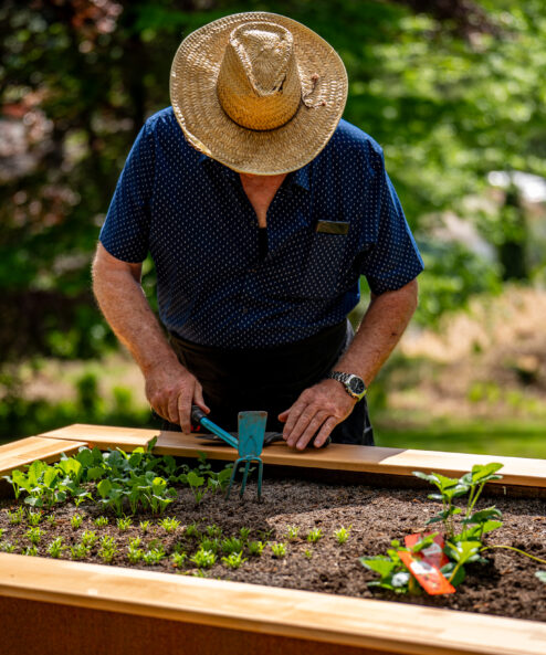 Potager en hauteur Amonea