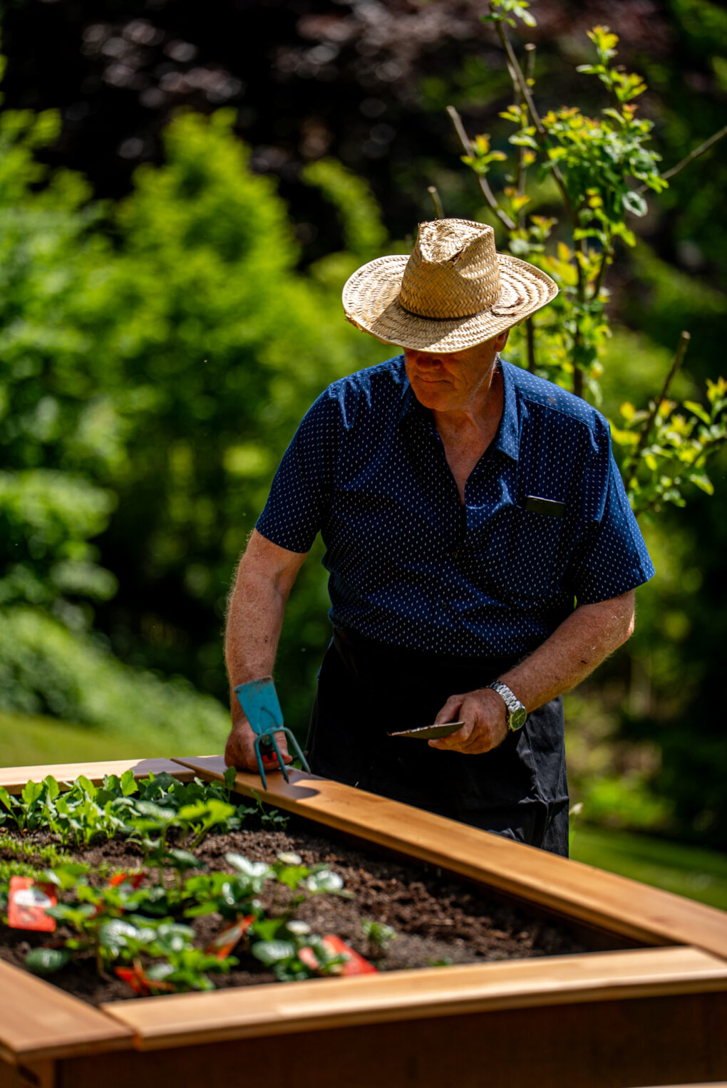 Potager carré en hauteur Amonea