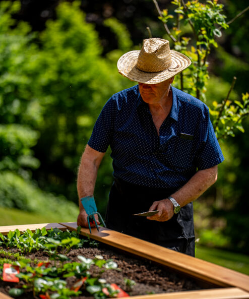 Potager carré en hauteur Amonea